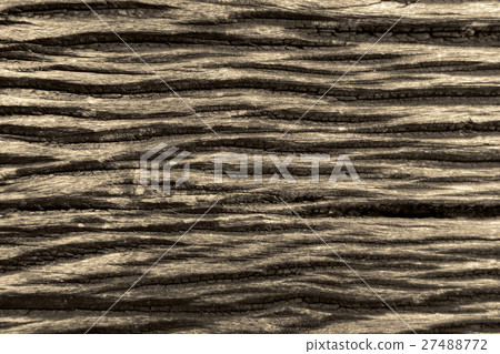 Wood texture background Wood texture background 27488772