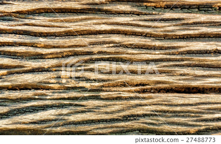 Wood texture background Wood texture background 27488773