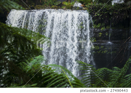 Russel Falls in Mount Field National Park. Russel Falls in Mount Field National Park. 27490443