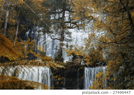 Russel Falls in Mount Field National Park. Russel Falls in Mount Field National Park. 27490447