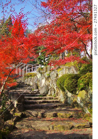 Autumn leaves of Takanoji garden in Takeo City, Saga prefecture Autumn leaves of Takanoji garden in Takeo City, Saga prefecture 27491327
