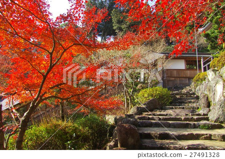 Autumn leaves of Takanoji garden in Takeo City, Saga prefecture 27491328