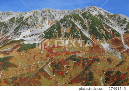 立山秋葉 27491543