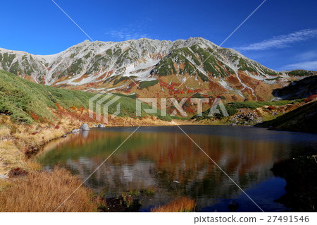Tateyama's autumn leaves and greenery pond 27491546