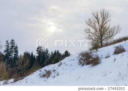 A serene winter landscape with trees covered in snow A serene winter landscape with trees covered in snow 27492052
