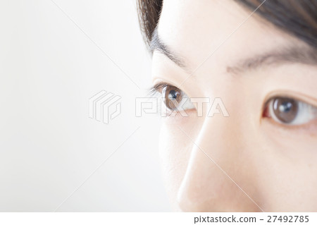 男人的美麗形象眼睛睫毛鼻子盯著 27492785