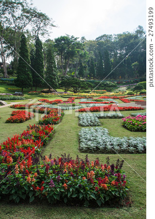 Garden of Doi Tung Royal Villa, Chiang Rai, Thaila 27493199