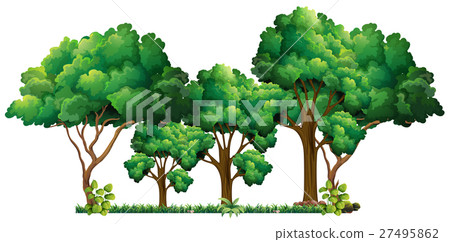 Scene with many trees 27495862