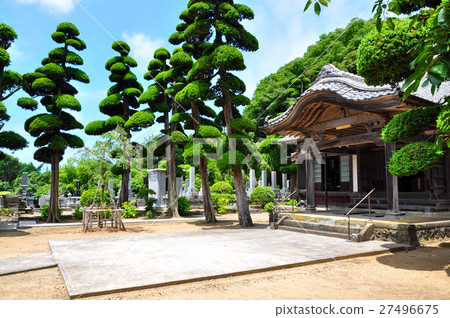 善治寺:伊豆松崎町(Sekatieu的位置) 善治寺:伊豆松崎町(Sekatieu的位置) 27496675