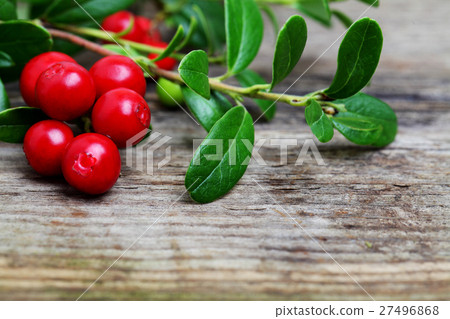 Fresh Cowberries with some leaves on wood Fresh Cowberries with some leaves on wood 27496868