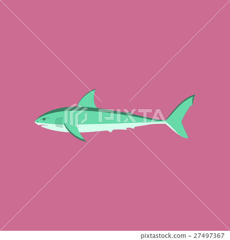 Vector illustration in flat style White shark 27497367