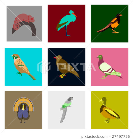 Set of vector illustration in flat style birds Set of vector illustration in flat style birds 27497736