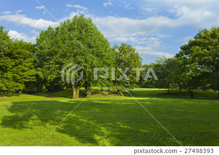 新鮮的綠色公園 新鮮的綠色公園 27498393