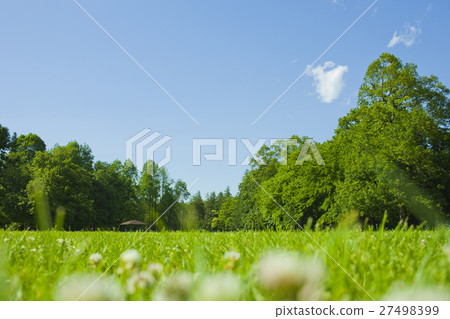 Fresh green park Fresh green park 27498399