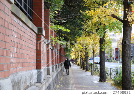 東京大學磚籬笆 27498921