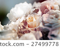 flower background 27499778