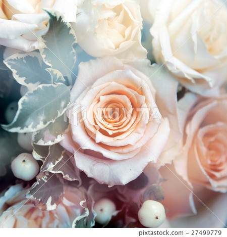 flower background flower background 27499779