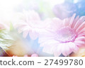 flower background 27499780