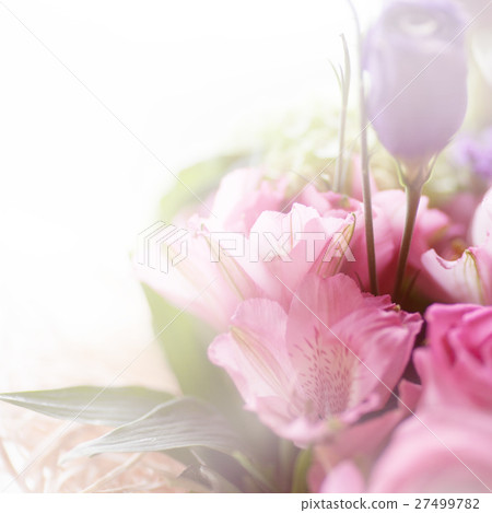 flower background flower background 27499782