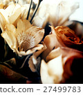 flower background 27499783