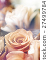 flower background 27499784