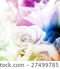 flower background 27499785