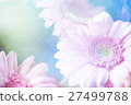 flower background 27499788