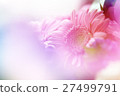 flower background 27499791