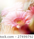 flower background 27499792