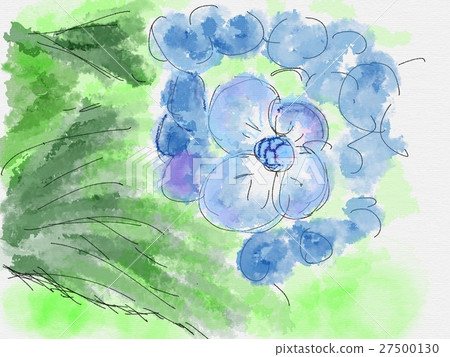 繡球花圖 繡球花圖 27500130