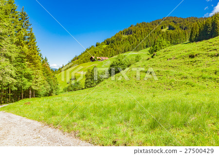 landscape landscape 27500429