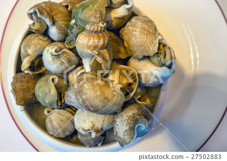Closeup clams in dish Closeup clams in dish 27502883