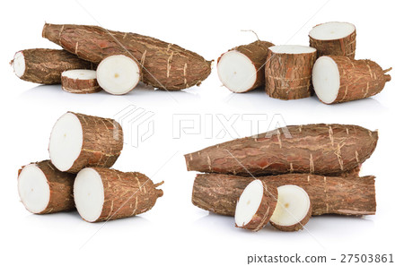 Cassava isolated on a white background 27503861