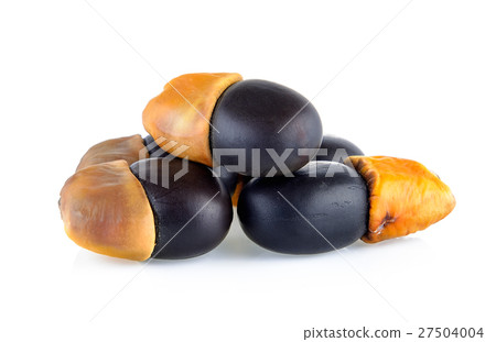 Ormosia (Makha) Seeds on white background 27504004