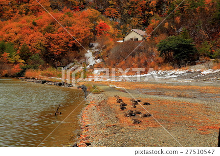 Sunbust on the lakeside of the first snow 27510547
