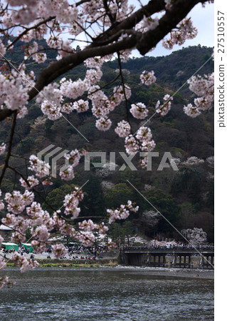 From Arashiyama From Arashiyama 27510557