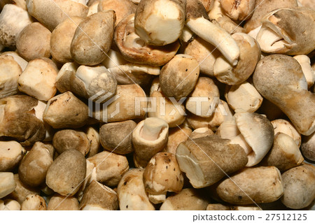 fresh mushrooms fresh mushrooms 27512125