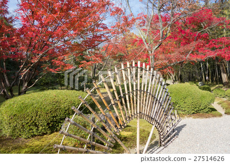 Japanese garden of shogatsudo of autumn leaves Japanese garden of shogatsudo of autumn leaves 27514626