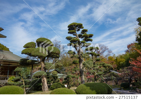 Autumn Shokado garden 27515137