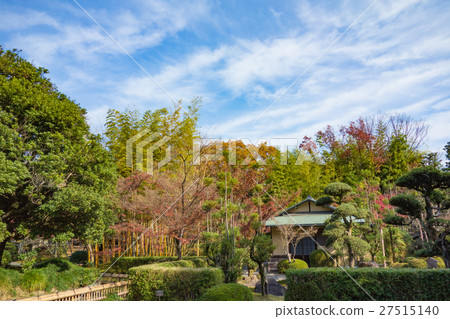 Autumn Shokado garden 27515140