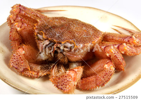  Hairy crab 27515509