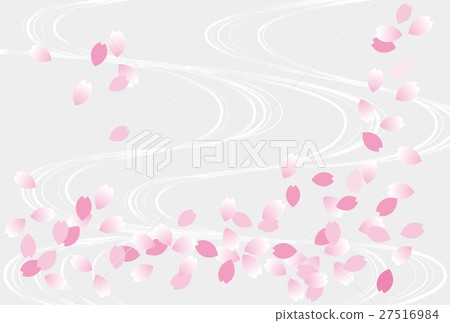 Flower raft cherry flower water background gray gradation Flower raft cherry flower water background gray gradation 27516984