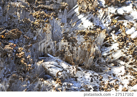 frost pillar frost pillar 27517102