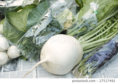 Japanese radish Japanese radish 27517492