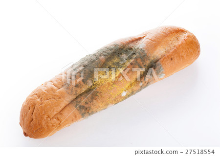 Mold On Bread Mold On Bread 27518554