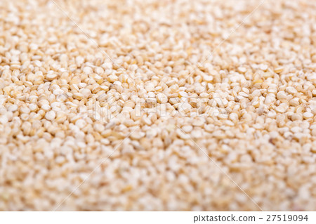 Quinoa 27519094