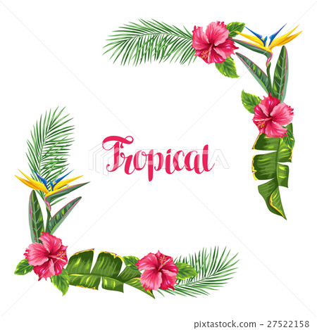 Stock Illustration: Frame with tropical leaves and flowers. Palms