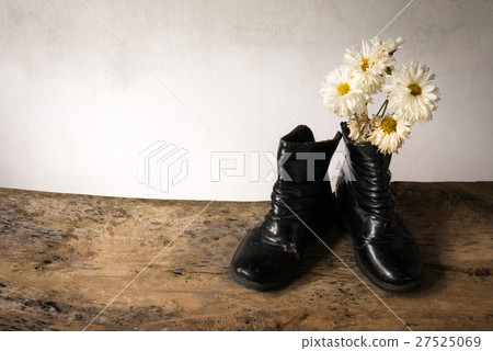 Still life old child deteriorate and dry wizen 27525069