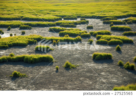  Gaomei Wetland, Taiwan, Taichung, high US wetlands, Gaomei wetland 27525565