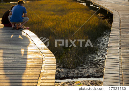 高美溼地,Taiwan, Taichung, high US wetlands,Gaomeiの湿地 高美溼地,Taiwan, Taichung, high US wetlands,Gaomeiの湿地 27525580